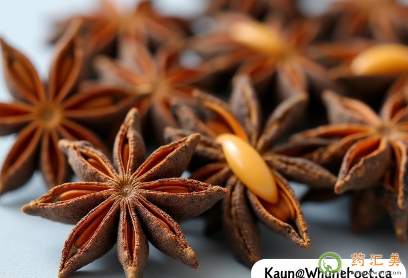 ׄԺԲܼӰ˽{(dio)ζ