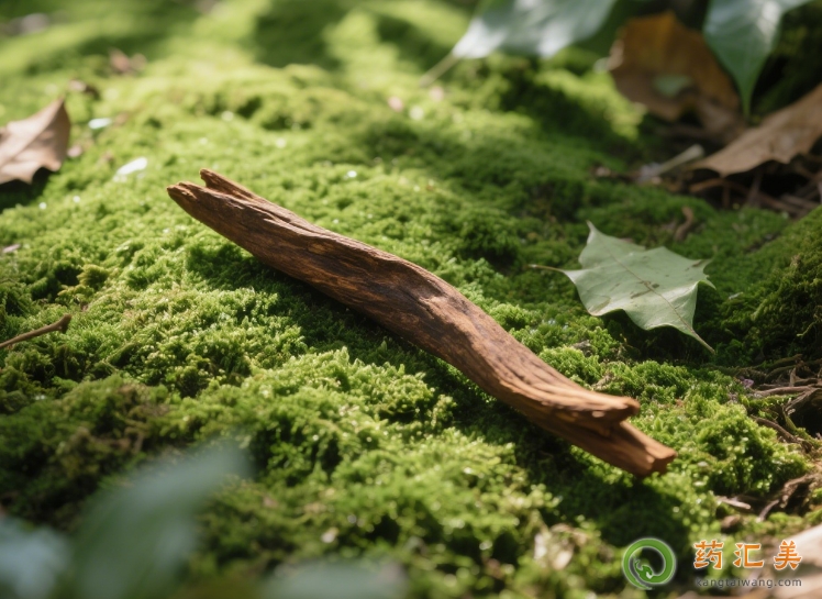 沉香曲的效果怎么樣