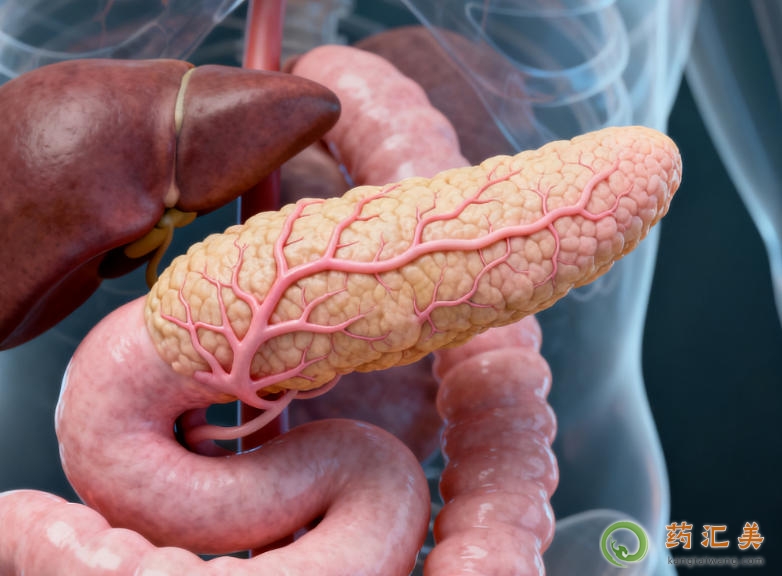 胰腺炎治療后淀粉酶不穩定是什么原因