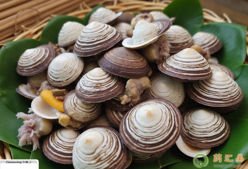 胰腺炎恢復期可以吃毛蛤蜊嗎 胰腺炎恢復期可以吃毛蛤蜊嗎