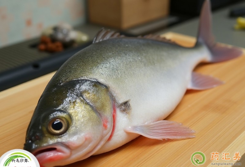 胰腺炎恢復(fù)期可以吃鰱魚嗎 胰腺炎恢復(fù)期可以吃鰱魚嗎