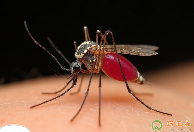 蚊子能傳播艾滋病嗎 蚊子能傳播艾滋病嗎