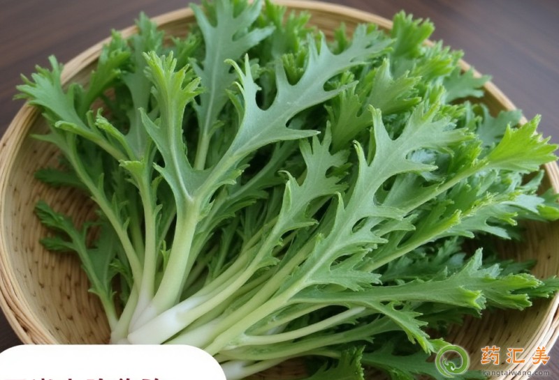 胰腺炎能吃苦菊嗎 胰腺炎能吃苦菊嗎