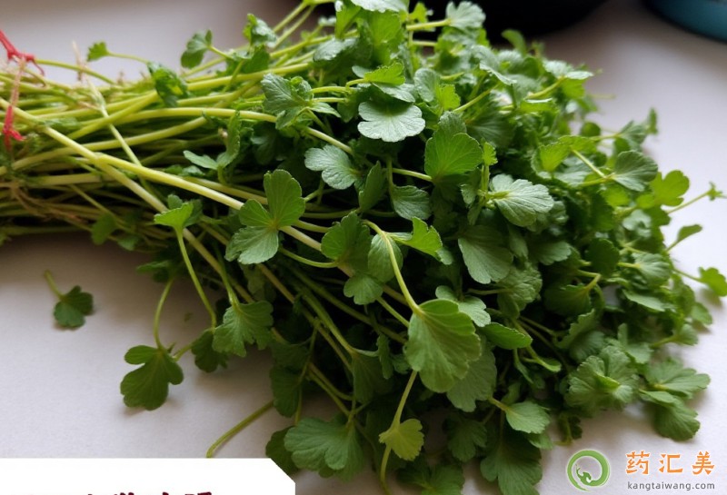 胰腺炎能吃豆瓣菜嗎 胰腺炎能吃豆瓣菜嗎