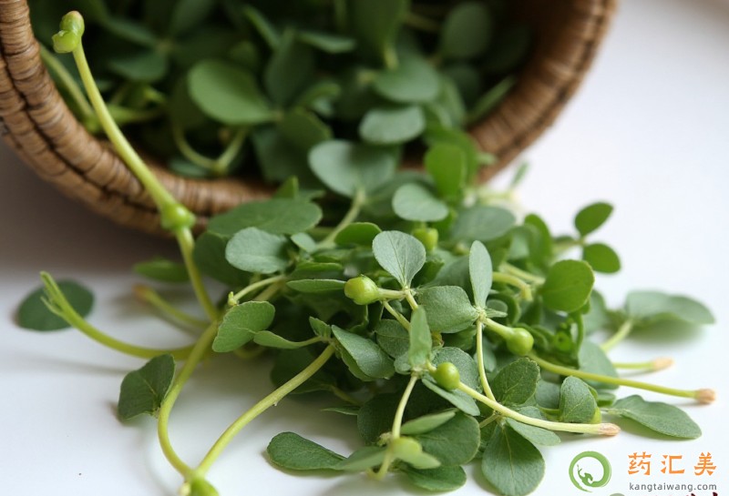 胰腺炎能吃苜蓿嗎 胰腺炎能吃苜蓿嗎