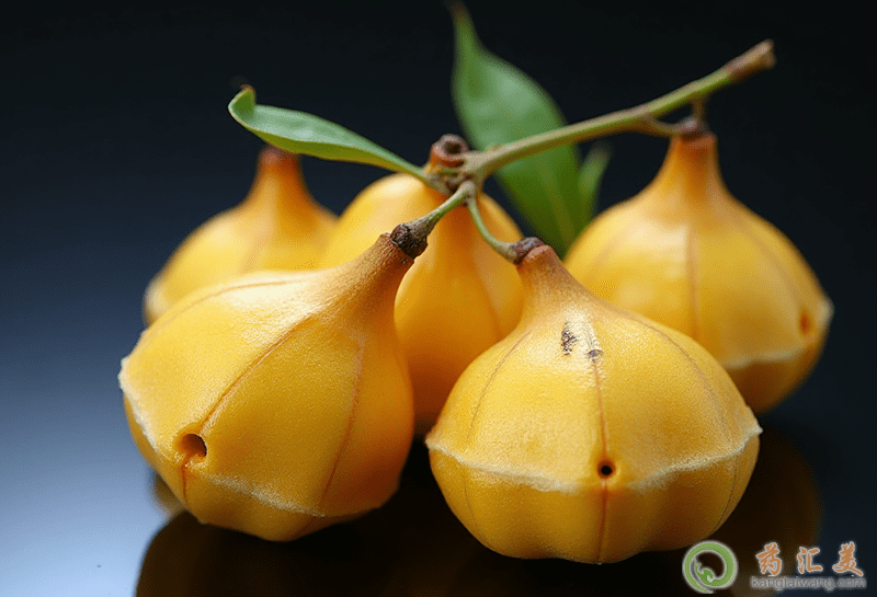 慈姑的功效與作用 慈姑的功效與作用