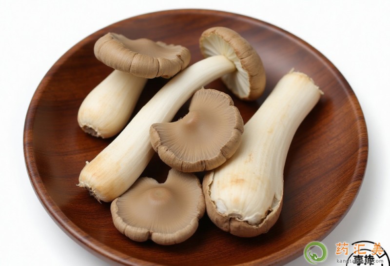 胰腺炎能吃秀珍菇嗎 胰腺炎能吃秀珍菇嗎