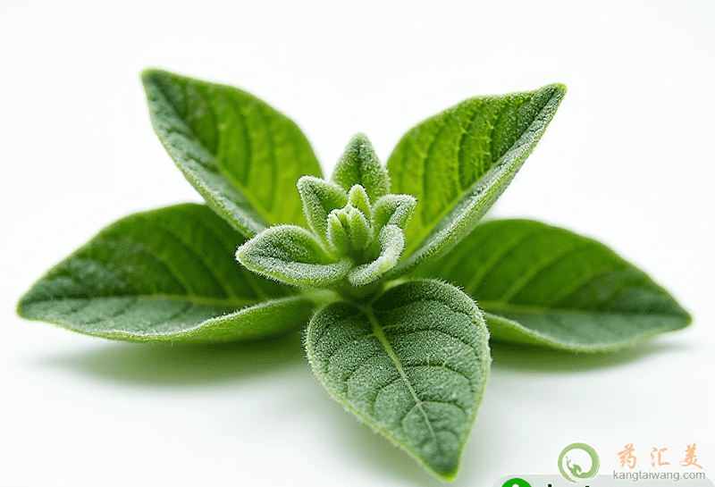 ţĠI(yng)B(yng)r(ji)ֵ