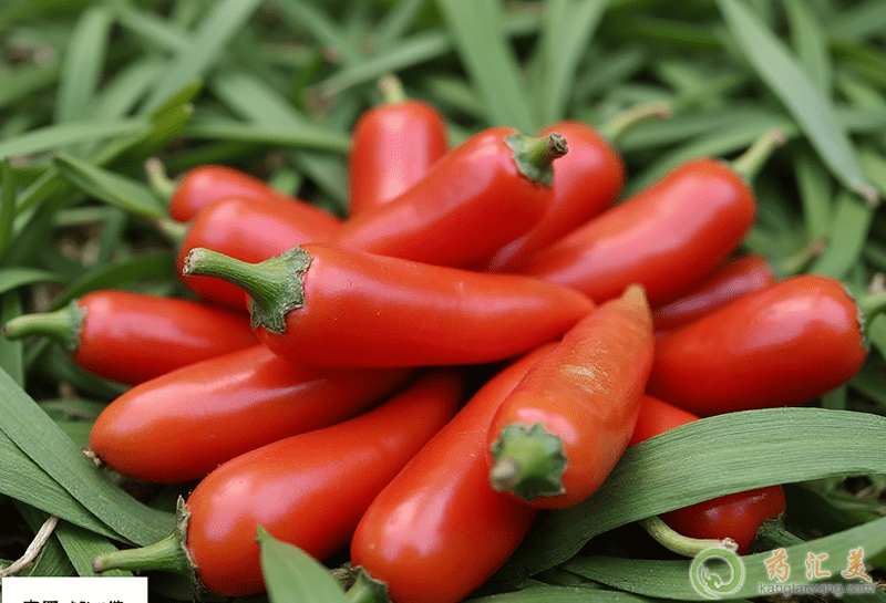 少白頭的原因和治療方法 少白頭的原因和治療方法